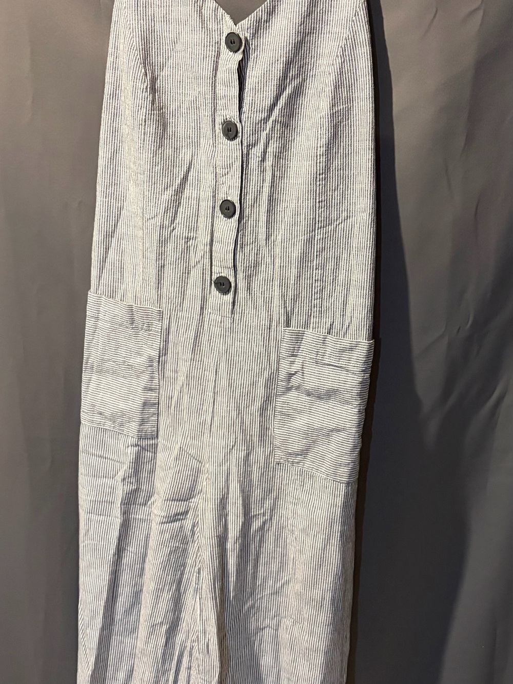 Frank & Oak Blue and White Pinstripe Jumpsuit